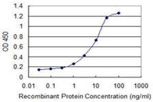 Detection limit for recombinant GST tagged NUBP1 is 0. (NUBP1 抗体  (AA 222-320))