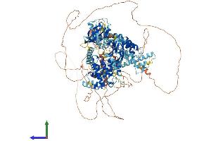 Protein Structure (PS) image for Breakpoint Cluster Region (BCR) (AA 1-1271) protein (His tag) (ABIN7552612)