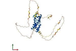 Protein Structure (PS) image for POU Class 5 Homeobox 1 (POU5F1) (AA 1-360) protein (His tag) (ABIN7550906)
