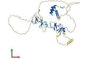 Protein Structure (PS) image for LIM Homeobox 2 (LHX2) (AA 1-406) protein (His tag) (ABIN7549099)
