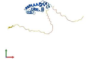 Protein Structure (PS) image for Regulator of G-Protein Signaling 4 (RGS4) (AA 1-205) protein (His tag) (ABIN7551351)