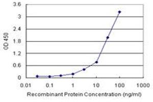 Sandwich ELISA detection sensitivity ranging from 0. (SPP1 (人) Matched Antibody Pair)