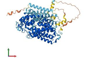 Protein Structure (PS) image for Solute Carrier Family 5 (Sodium/glucose Cotransporter), Member 2 (SLC5A2) (AA 1-670) protein (His tag) (ABIN7560249)