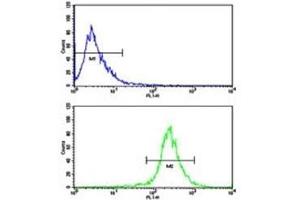 Flow cytometric analysis of WiDr cells using AXL antibody (bottom histogram) compared to a negative control (top histogram). (AXL 抗体  (AA 13-44))