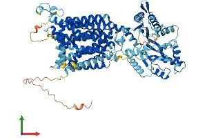 Protein Structure (PS) image for Patched Domain Containing 1 (PTCHD1) (AA 1-888) protein (His tag) (ABIN7555085)