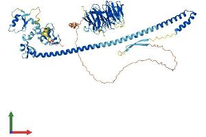 AlphaFold protein structure predicition of Human Recombinant TRIM56 Protein, UniprotID Q9BRZ2