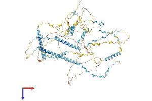 TPX2 Protein (AA 1-745) (His tag)
