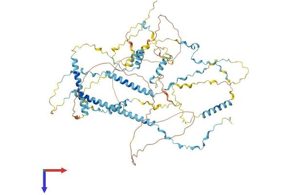 TPX2 Protein (AA 1-745) (His tag)