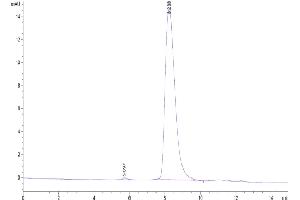 The purity of Biotinylated Human TNFR2 is greater than 95 % as determined by SEC-HPLC. (TNFRSF1B Protein (AA 23-257) (His tag,Biotin))