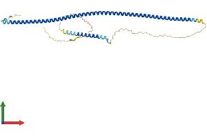 AlphaFold protein structure predicition of Human Recombinant NDEL1 Protein, UniprotID Q9GZM8