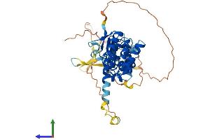 Protein Structure (PS) image for Leucine Rich Repeat Containing 42 (LRRC42) (AA 1-421) protein (His tag) (ABIN7559709)