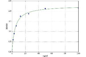 Interferon alpha/beta Receptor 2 (IFNAR2) ELISA Kit