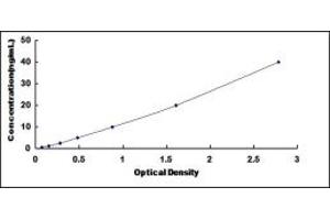 Typical standard curve (L-Selectin ELISA 试剂盒)