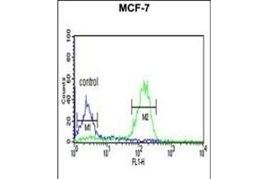 LUC7L2 Antibody (C-term) (ABIN653502 and ABIN2842911) flow cytometric analysis of MCF-7 cells (right histogram) compared to a negative control cell (left histogram). (LUC7L2 抗体  (C-Term))