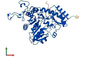 Protein Structure (PS) image for Cystathionase (Cystathionine gamma-Lyase) (CTH) (AA 1-405) protein (His tag) (ABIN7553317)