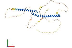 AlphaFold protein structure predicition of Mouse Recombinant Tfec Protein, UniprotID Q9WTW4