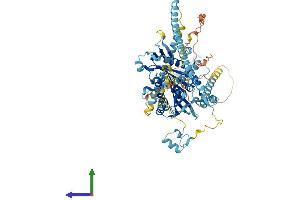Protein Structure (PS) image for Kinesin Family Member 3B (KIF3B) (AA 1-747) protein (His tag) (ABIN7557736)