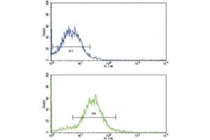 Flow cytometric analysis of HepG2 cells using BMPR2 antibody (green) compared to a negative control (blue).