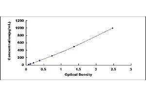 Typical standard curve (Nerve Growth Factor ELISA 试剂盒)