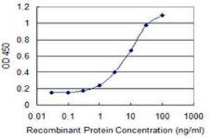 Detection limit for recombinant GST tagged IL31RA is 0. (IL31RA 抗体  (AA 21-120))