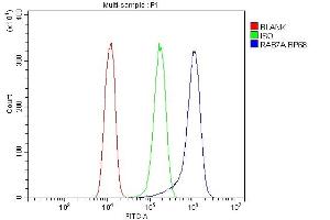 Flow Cytometry analysis of A431 cells using anti-RAB7 antibody (ABIN3044538). (RAB7A 抗体  (C-Term))