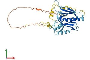 AlphaFold protein structure predicition of Mouse Recombinant Tprg1l Protein, UniprotID Q9DBS2