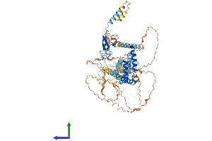 Protein Structure (PS) image for Transmembrane Protein 201 (TMEM201) (AA 1-664) protein (His tag) (ABIN7561878)
