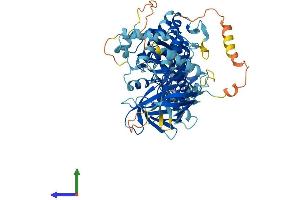 Protein Structure (PS) image for Fermitin Family Member 3 (FERMT3) (AA 1-667) protein (His tag) (ABIN7555980)