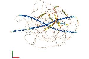 AlphaFold protein structure predicition of Human Recombinant NES Protein, UniprotID P48681