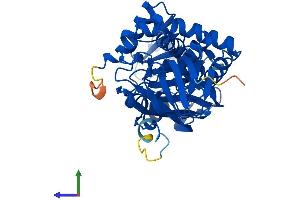 Protein Structure (PS) image for Pipecolic Acid Oxidase (PIPOX) (AA 1-390) protein (His tag) (ABIN7561111)