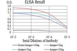 Black line: Control Antigen (100 ng);Purple line: Antigen (10ng); Blue line: Antigen (50 ng); Red line:Antigen (100 ng) (DHX58 抗体  (AA 479-678))