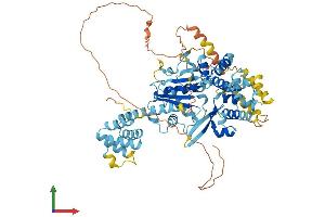 Protein Structure (PS) image for NLR Family, Pyrin Domain Containing 10 (NLRP10) (AA 1-673) protein (His tag) (ABIN7564536)