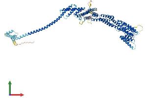 Protein Structure (PS) image for Component of Oligomeric Golgi Complex 5 (COG5) (AA 1-829) protein (His tag) (ABIN7559077)