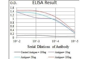 Black line: Control Antigen (100 ng), Purple line: Antigen(10 ng), Blue line: Antigen (50 ng), Red line: Antigen (100 ng), (PIWIL4 抗体  (AA 304-434))