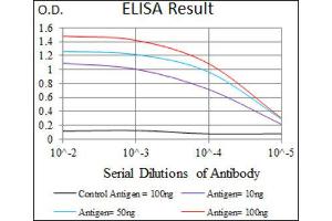 ELISA image for anti-EGFR Mutant (AA 693-893), (Mutant) antibody (ABIN1845729) (EGFR Mutant (AA 693-893), (Mutant) 抗体)