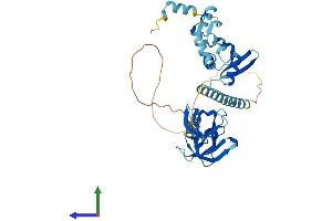 Protein Structure (PS) image for KIN, Antigenic Determinant of RecA Protein Homolog (KIN) (AA 1-393) protein (His tag) (ABIN7554290)