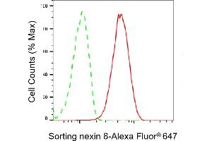 Flow cytometric analysis of Sorting nexin 8 expression in HepG2 cells using Sorting nexin 8 antibody (ABIN7800411), 1:2,000). (SNX8 抗体)