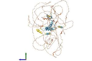 Protein Structure (PS) image for Zinc Finger Protein GLI1 (GLI1) (AA 1-1106) protein (His tag) (ABIN7554016)