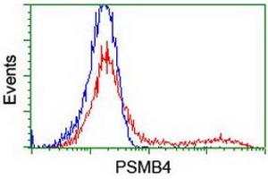 HEK293T cells transfected with either RC205723 overexpress plasmid (Red) or empty vector control plasmid (Blue) were immunostained by anti-PSMB4 antibody (ABIN2454988), and then analyzed by flow cytometry. (PSMB4 抗体)