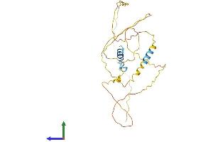Protein Structure (PS) image for Ermin, ERM-Like Protein (ERMN) (AA 1-284) protein (His tag) (ABIN7547354)