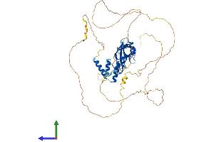 Protein Structure (PS) image for MLLT1, super elongation complex subunit (MLLT1) (AA 1-559) protein (His tag) (ABIN7547325)