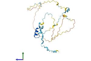 Protein Structure (PS) image for RAD9-HUS1-RAD1 Interacting Nuclear Orphan 1 (RHNO1) (AA 1-238) protein (His tag) (ABIN7551368)