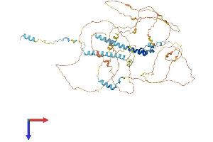 AlphaFold protein structure predicition of Mouse Recombinant Spty2d1 Protein, UniprotID Q68FG3