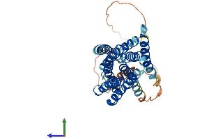 Protein Structure (PS) image for Solute Carrier Family 39 (Metal Ion Transporter), Member 11 (SLC39A11) (AA 1-342) protein (His tag) (ABIN7551651)