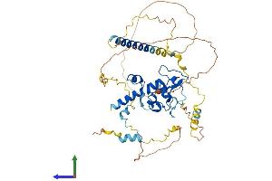 Protein Structure (PS) image for Cell Division Cycle Associated 7-Like (CDCA7L) (AA 1-454) protein (His tag) (ABIN7553060)