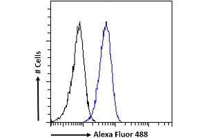(ABIN263205) Flow cytometric analysis of paraformaldehyde fixed A431 cells (blue line), permeabilized with 0. (CTDSPL 抗体  (Internal Region))