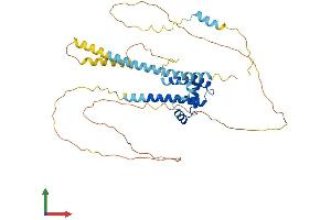 Protein Structure (PS) image for BSD Domain Containing 1 (BSDC1) (AA 1-427) protein (His tag) (ABIN7558430)