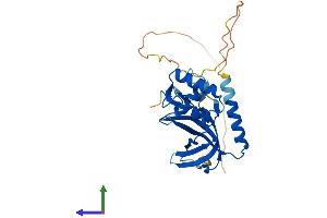 Protein Structure (PS) image for Replication Protein A2, 32kDa (RPA2) (AA 1-270) protein (His tag) (ABIN7555207)