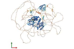 Protein Structure (PS) image for FERM and PDZ Domain Containing 4 (FRMPD4) (AA 1-1322) protein (His tag) (ABIN7553960)