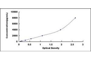 Typical standard curve (MYH7 ELISA 试剂盒)